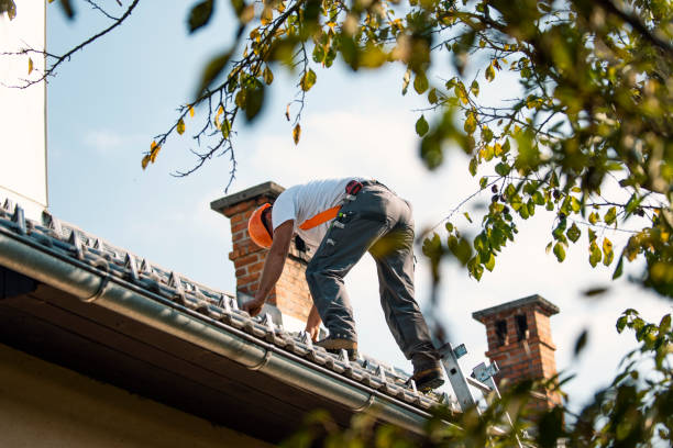 Best Roof Maintenance Services  in Franklin, NJ