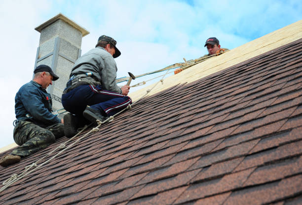 Best Roof Gutter Cleaning  in Franklin, NJ
